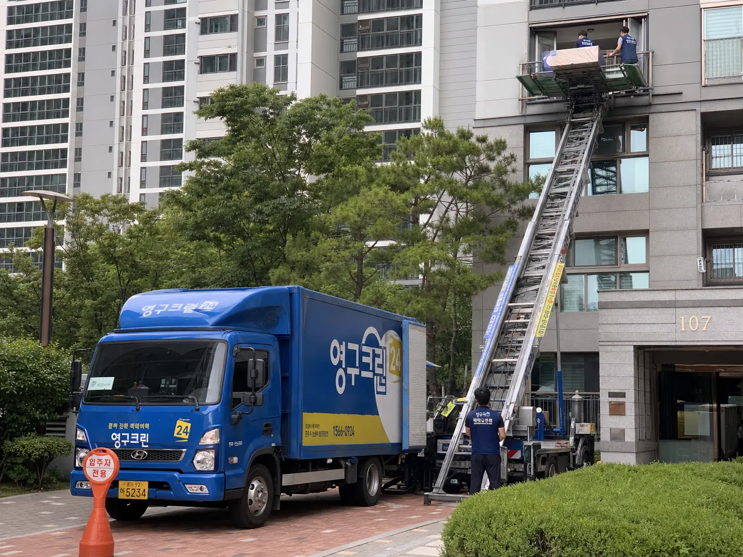 강원 춘천시 서면 이사 원인분석