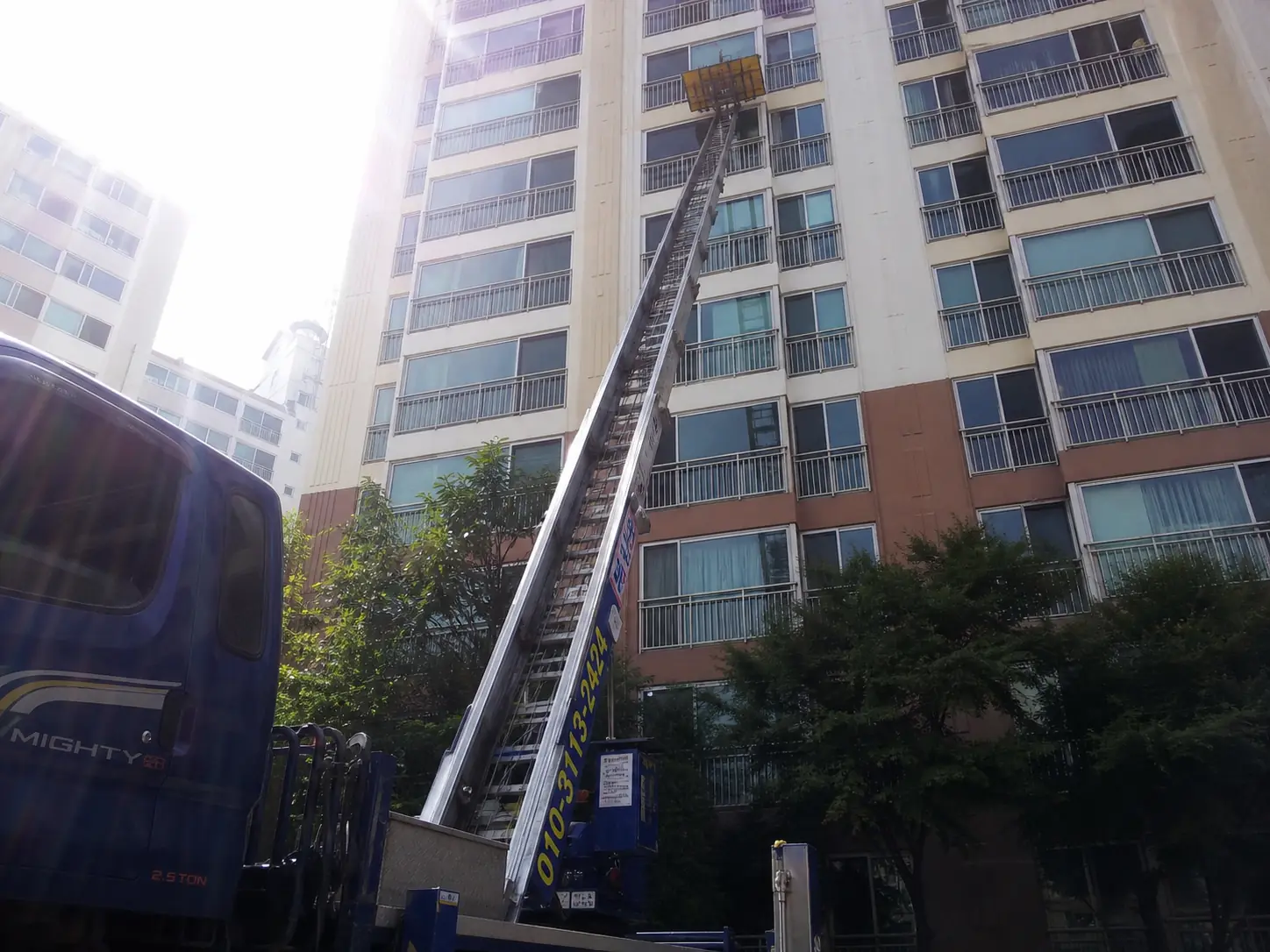대전 동구 삼성동 이사 자주묻는질문